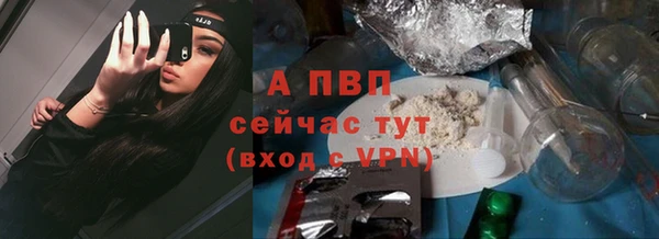 СК Богородск