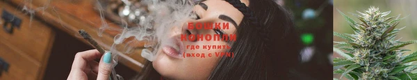 СК Богородск