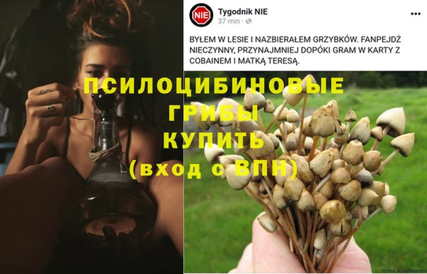 гидропоника Богородицк