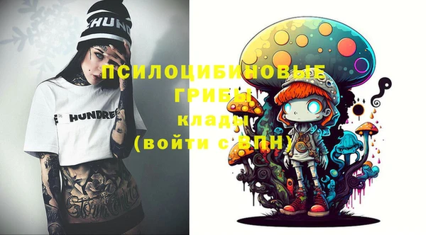 гидропоника Богородицк