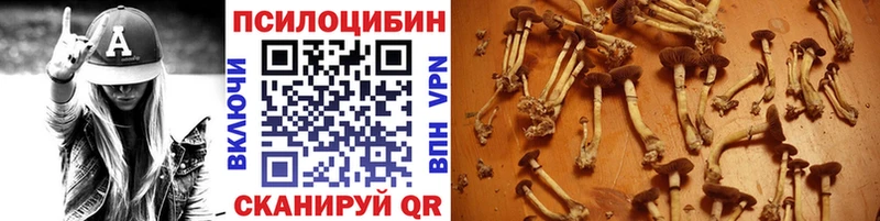 Галлюциногенные грибы Psilocybe  Купить  Вышний Волочёк 